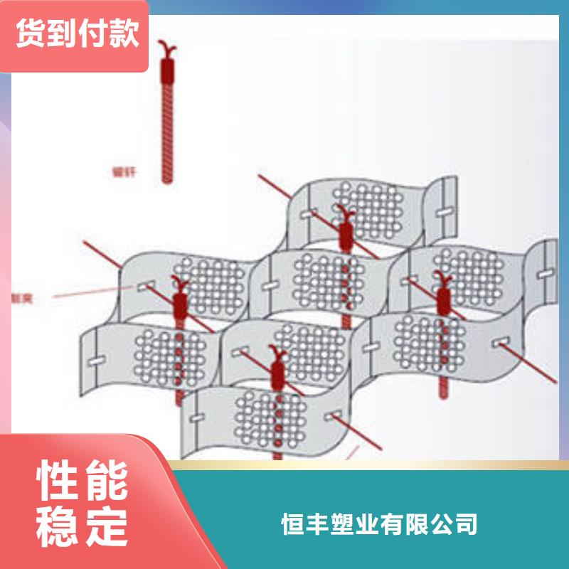 蜂巢护坡格室