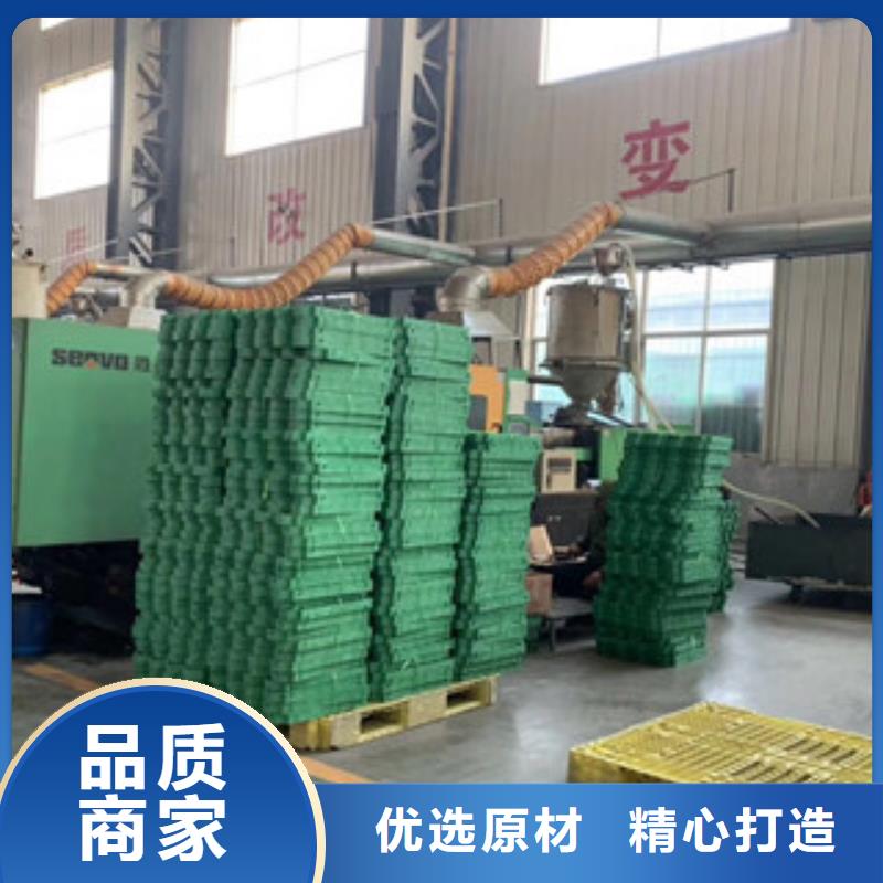 绿化植草格厂家价格