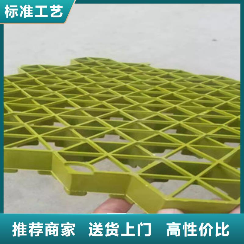 绿化植草格厂家价格