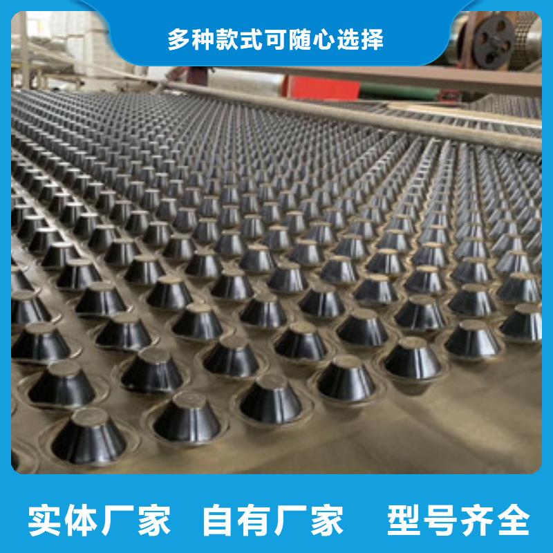 排水板土工布厂家追求细节品质