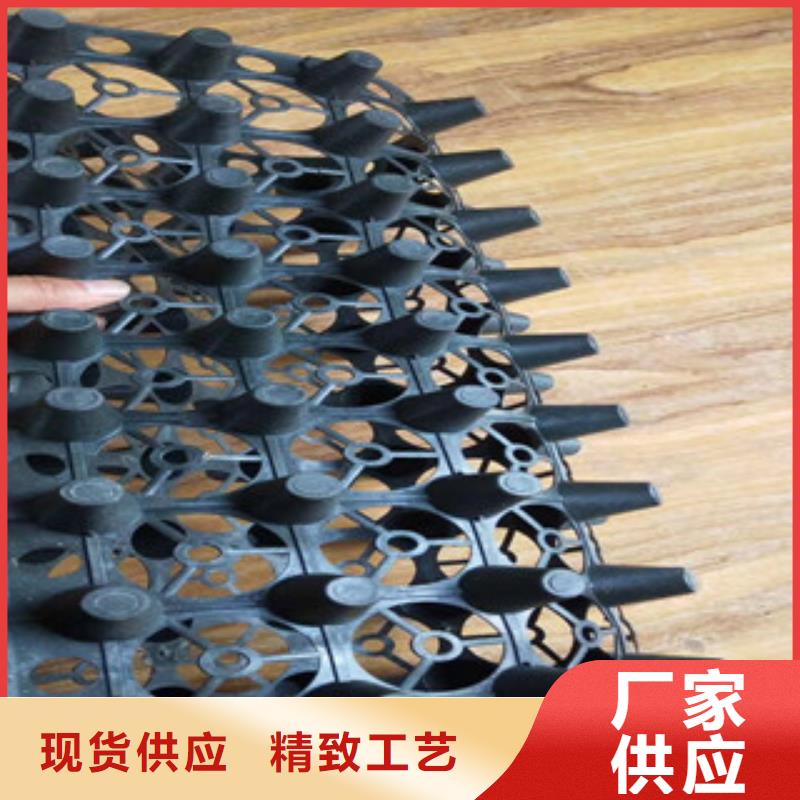 绿色块状蓄排水板富泰土工材料有限公司厂家直销