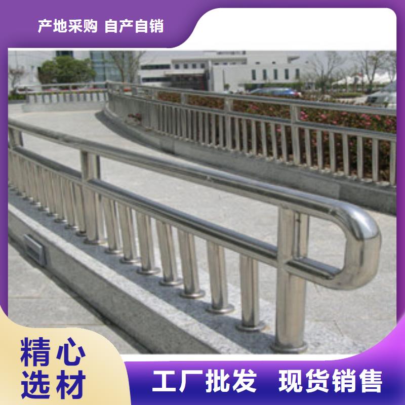 直销{飞龙}政桥梁不锈钢道路护栏防撞护栏专业按需定制