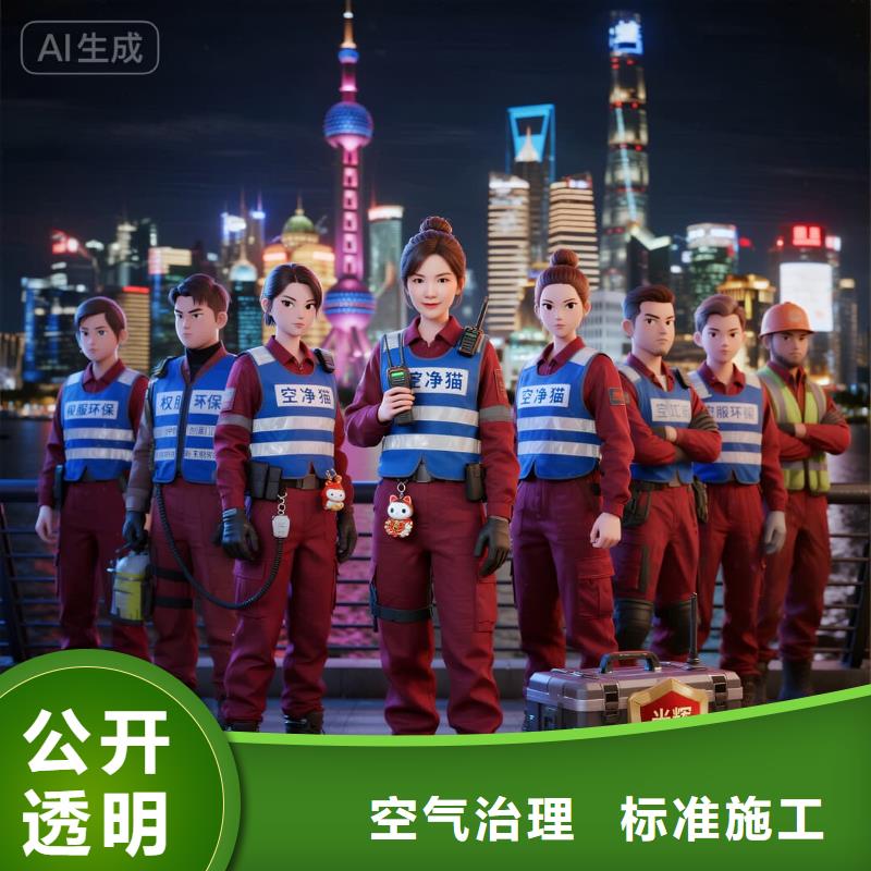 空净猫上门除甲醛除苯全国品牌直营上海浦东新区三林镇 上门除甲醛 空净猫全国直营专业操作