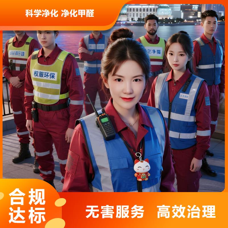 空净猫上门除甲醛除苯全国品牌直营-上海松江区方松街道 上门除甲醛 空净猫全国直营除味治理