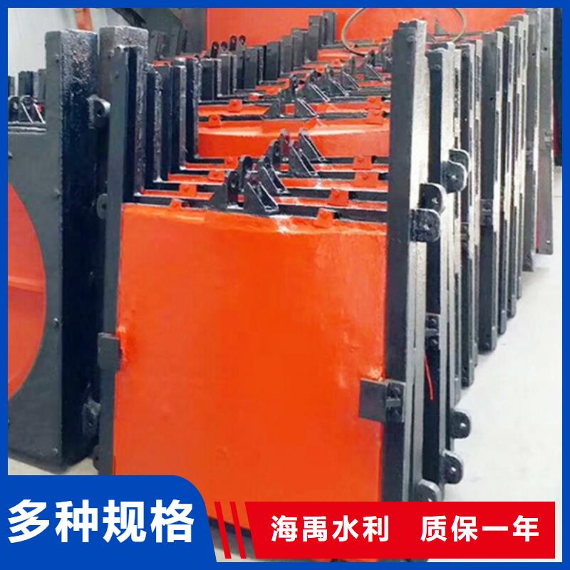 上饶pgz铸铁闸门大实力看得见