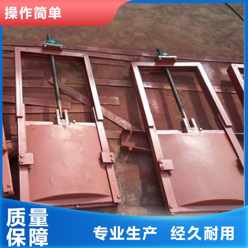 龙岩铸铁机门一体闸门支持拿样