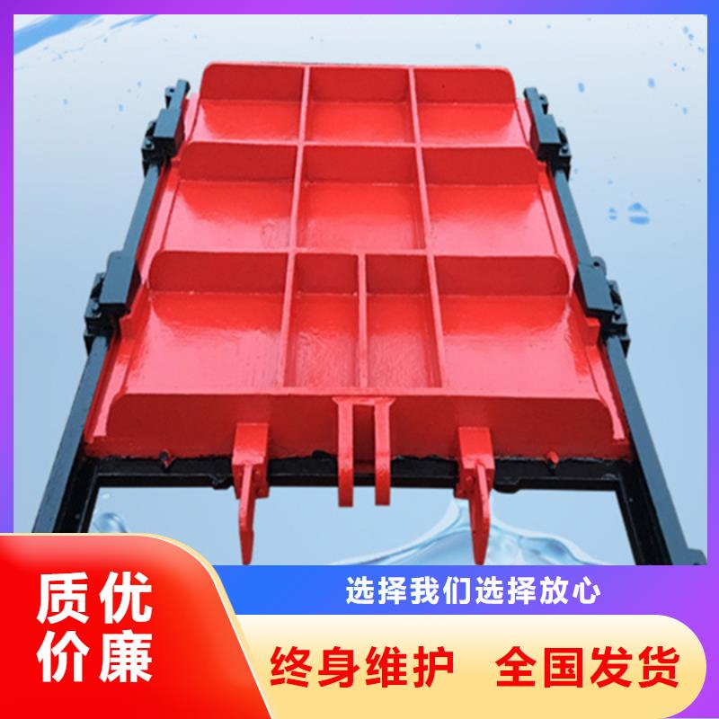 龙岩铸铁机门一体闸门支持拿样