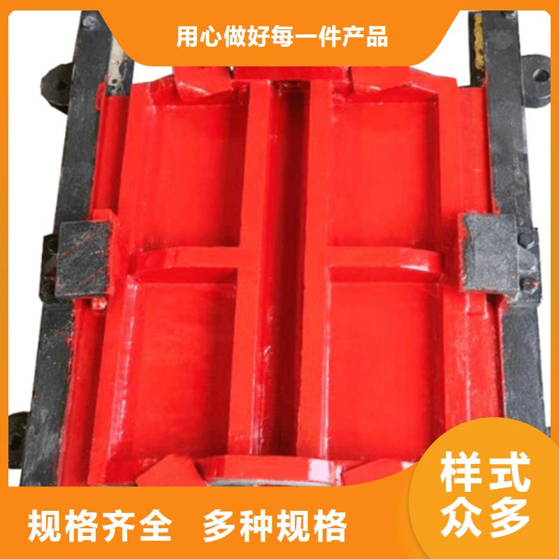 漳州双止水铸铁闸门合理