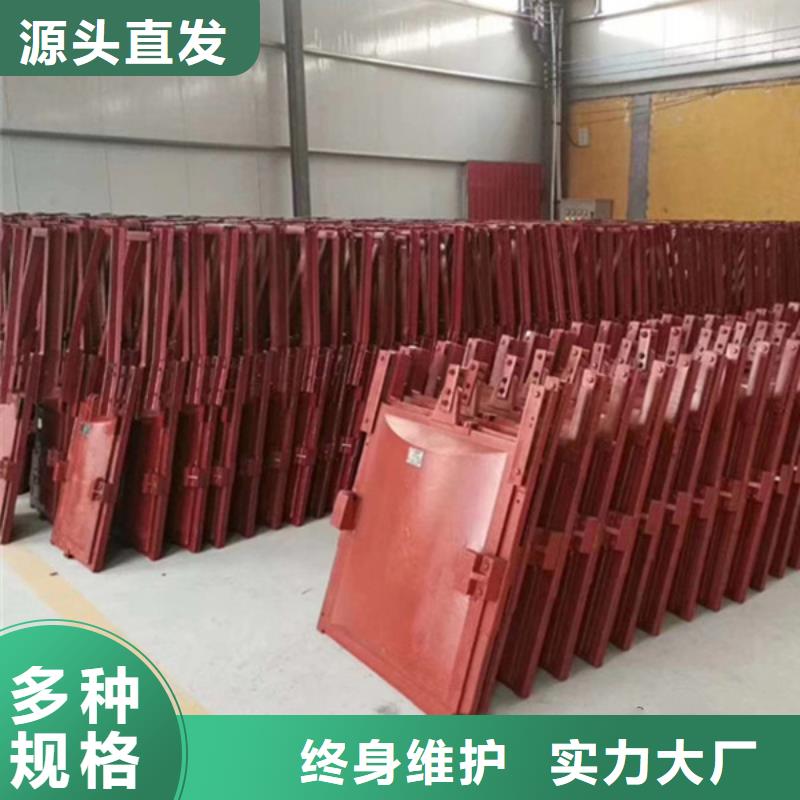 龙岩铸铁机门一体闸门支持拿样