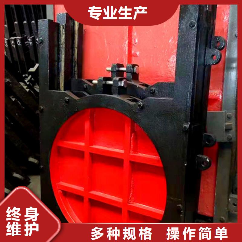 林芝小型平板铸铁闸门国标检测放心购买