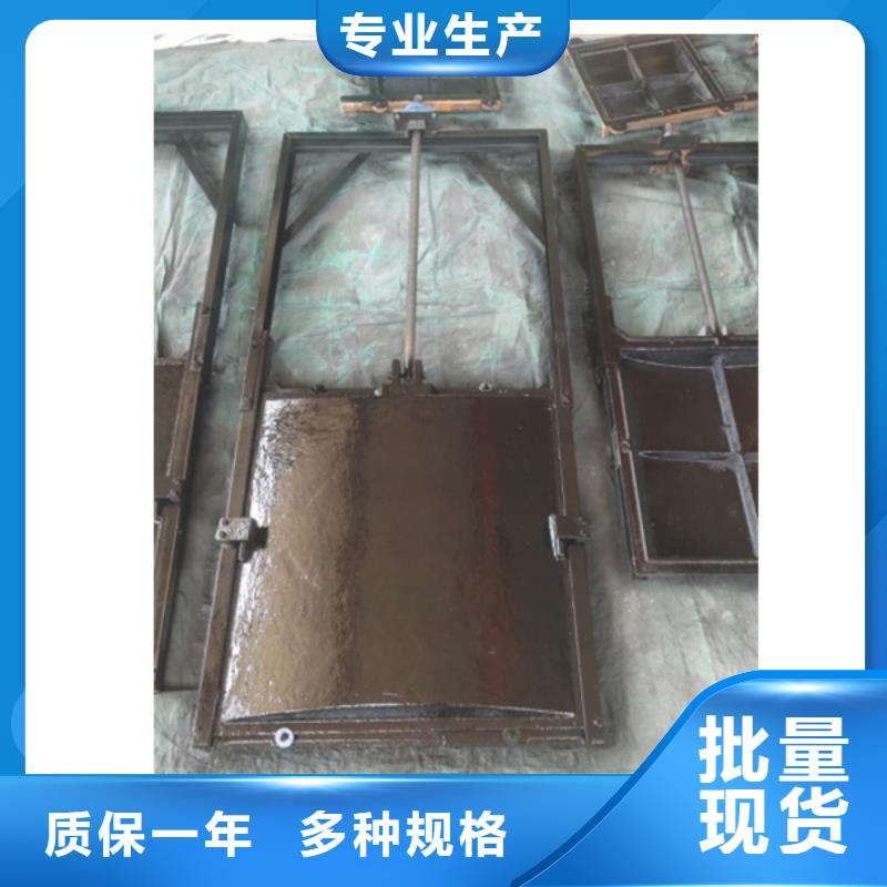 漳州双止水铸铁闸门合理