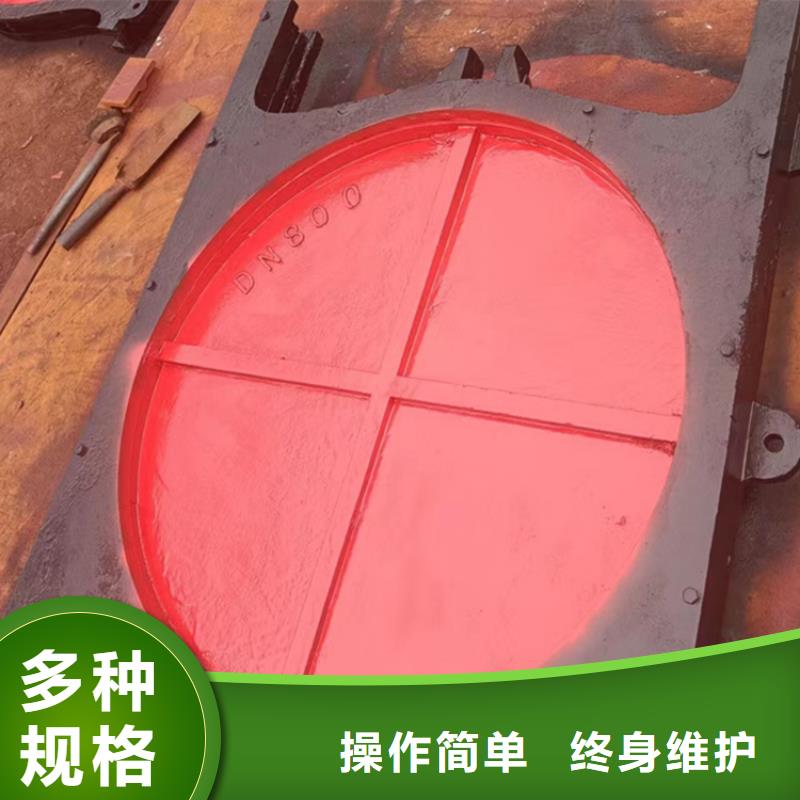 林芝小型平板铸铁闸门国标检测放心购买