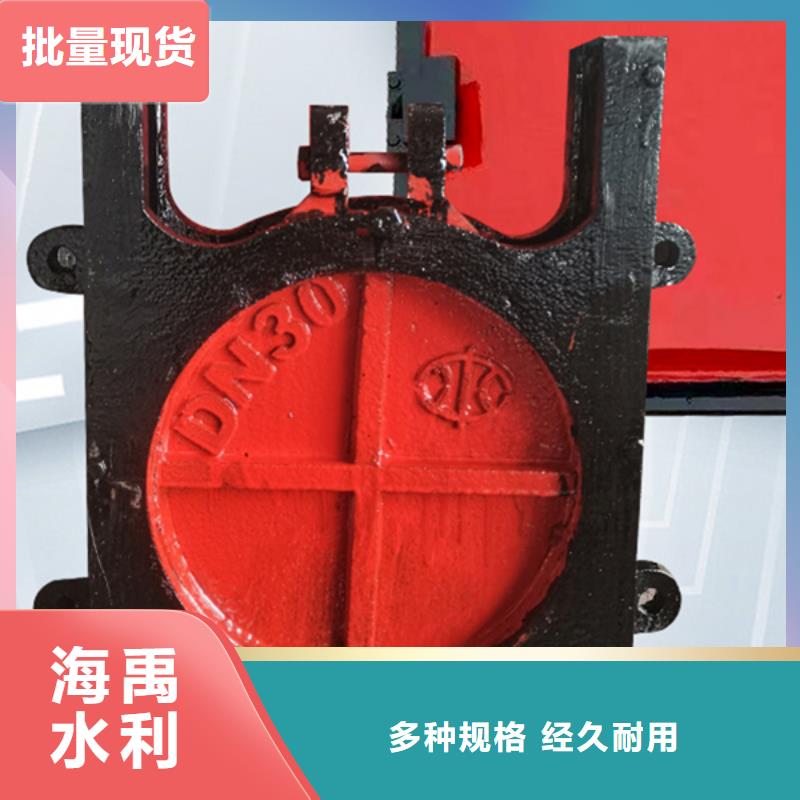 汉中暗杆式铸铁闸门品质信得过
