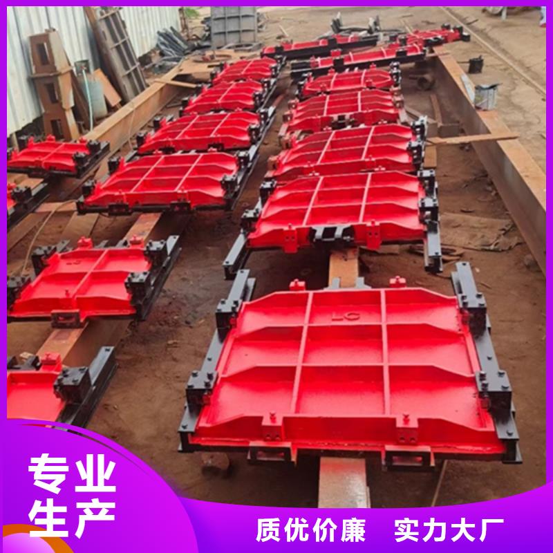 林芝小型平板铸铁闸门国标检测放心购买