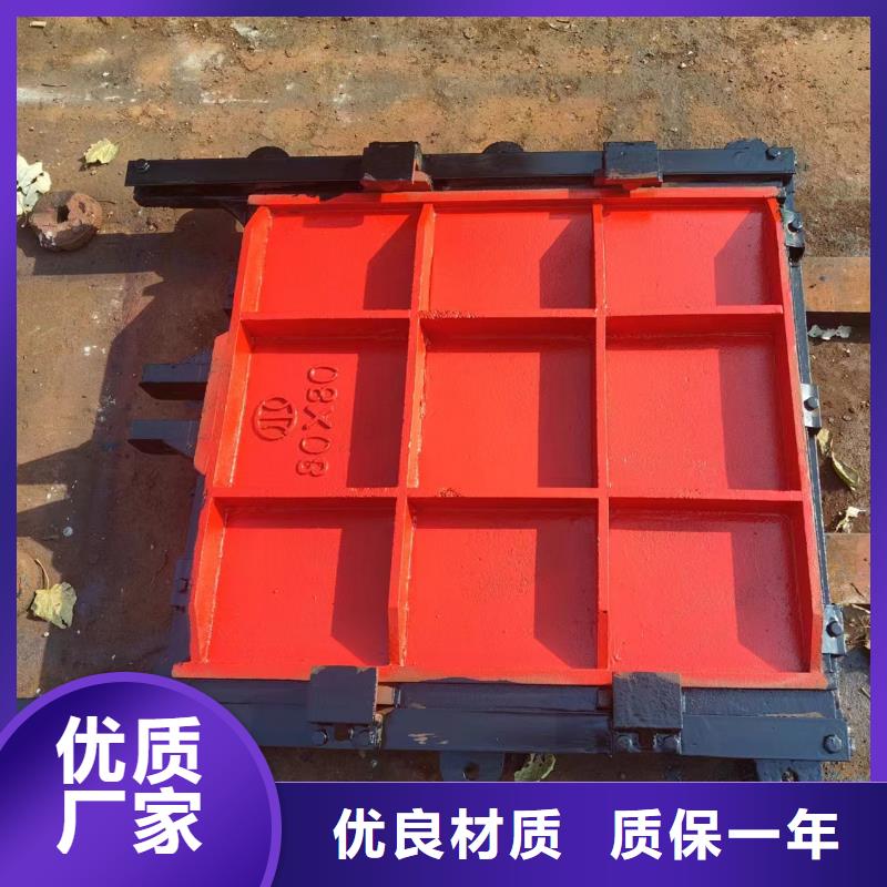 龙岩铸铁机门一体闸门支持拿样