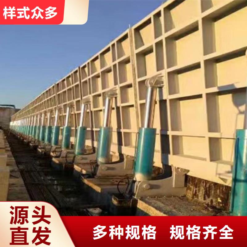 翻板钢闸门实力