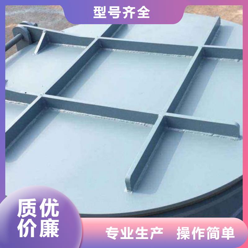 双开门式拍门铸铁拍门厂家型号齐全