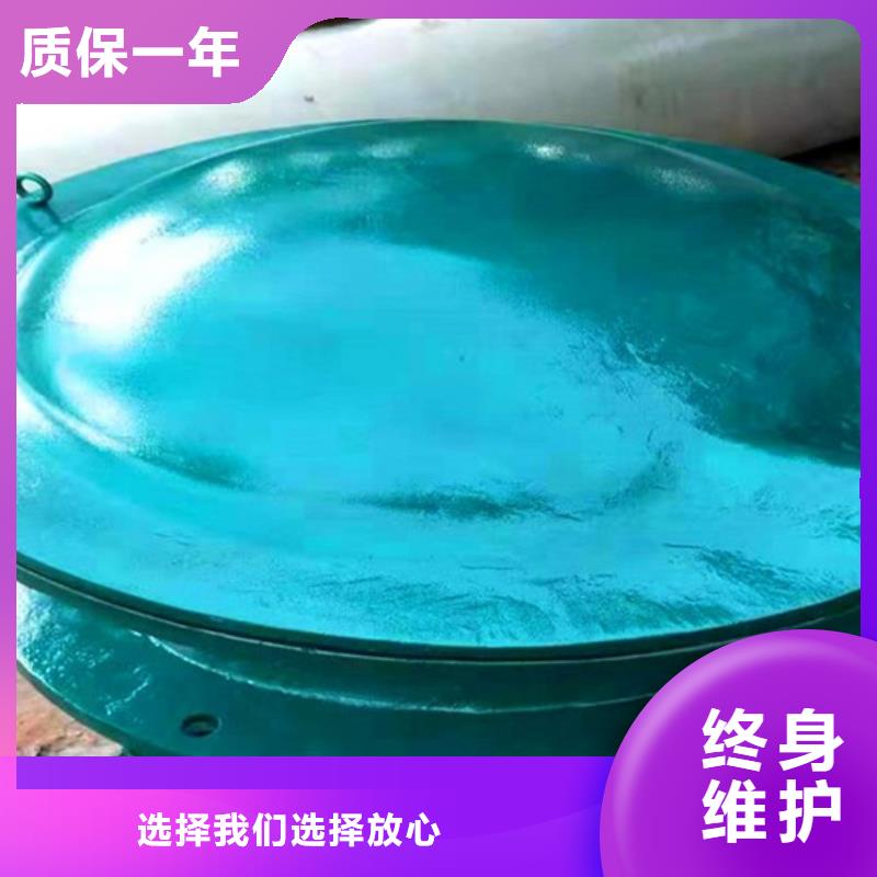双开门式拍门侧开式拍门厂家源头直发