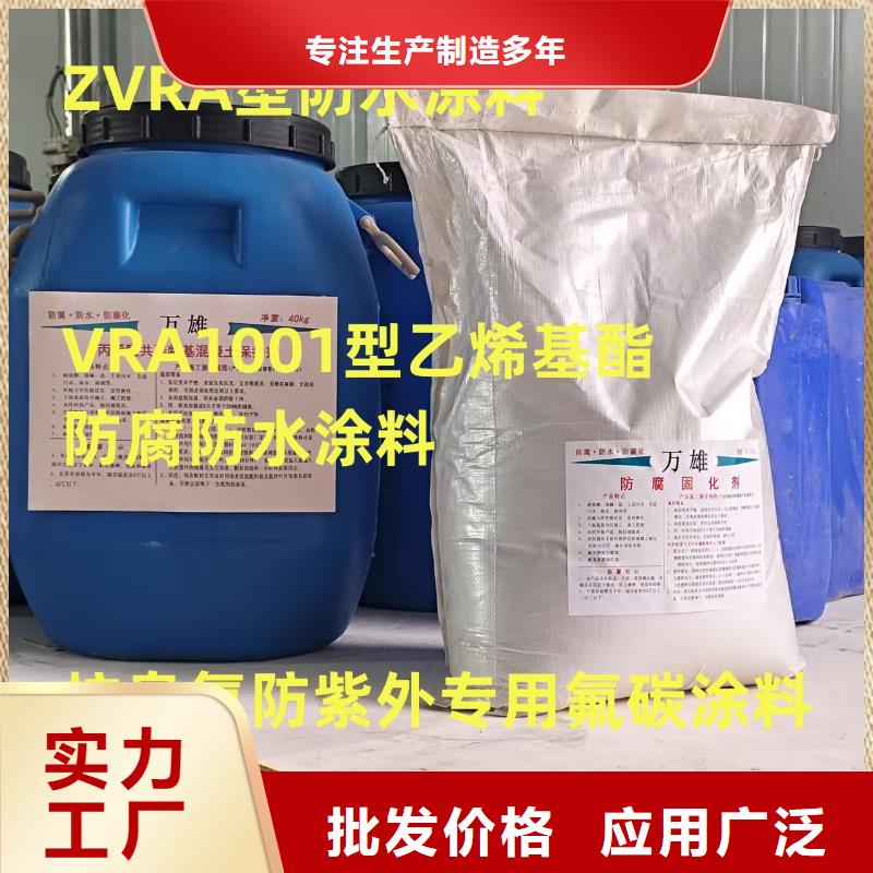 弹性高分子聚合物防水防腐涂料厂家厂家供应改性乙烯基酯防水防腐涂料