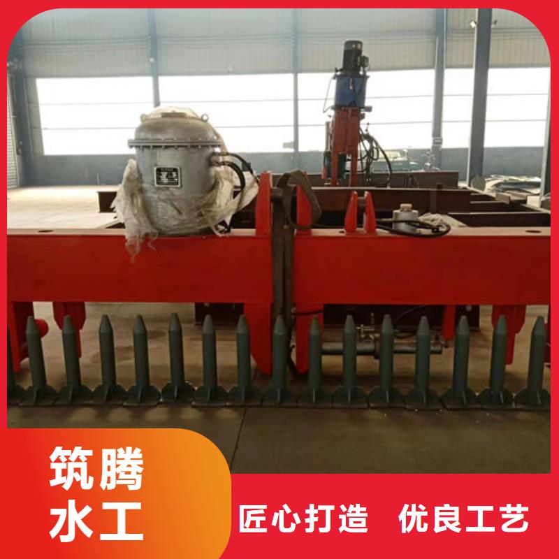 耙斗式清污机信誉至上