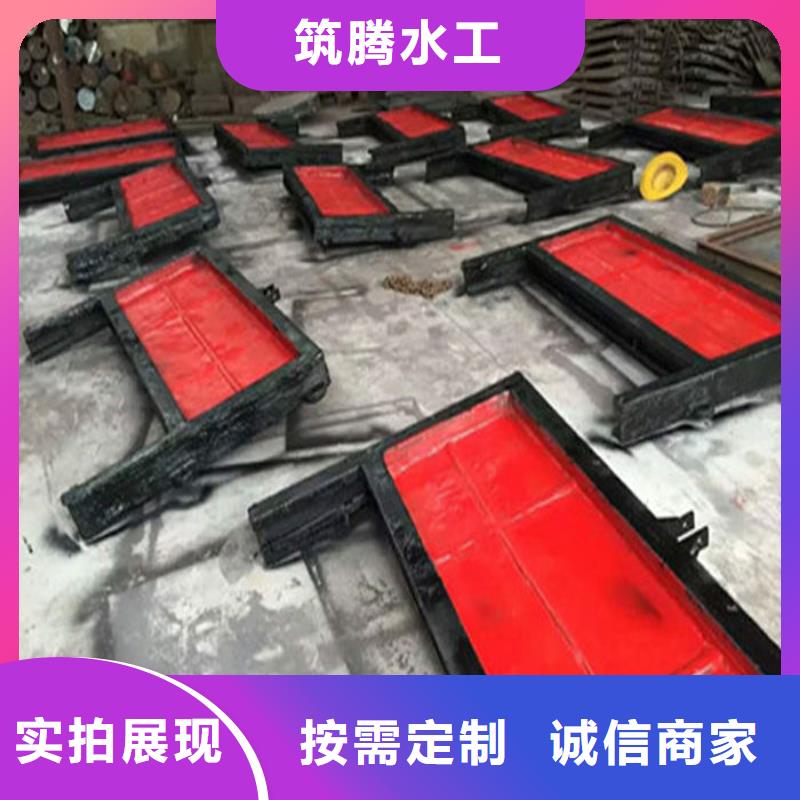 农田灌溉铸铁闸门用心经营