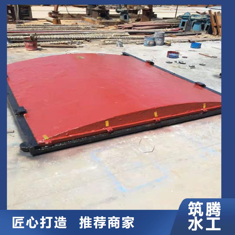 农田灌溉铸铁闸门用心经营