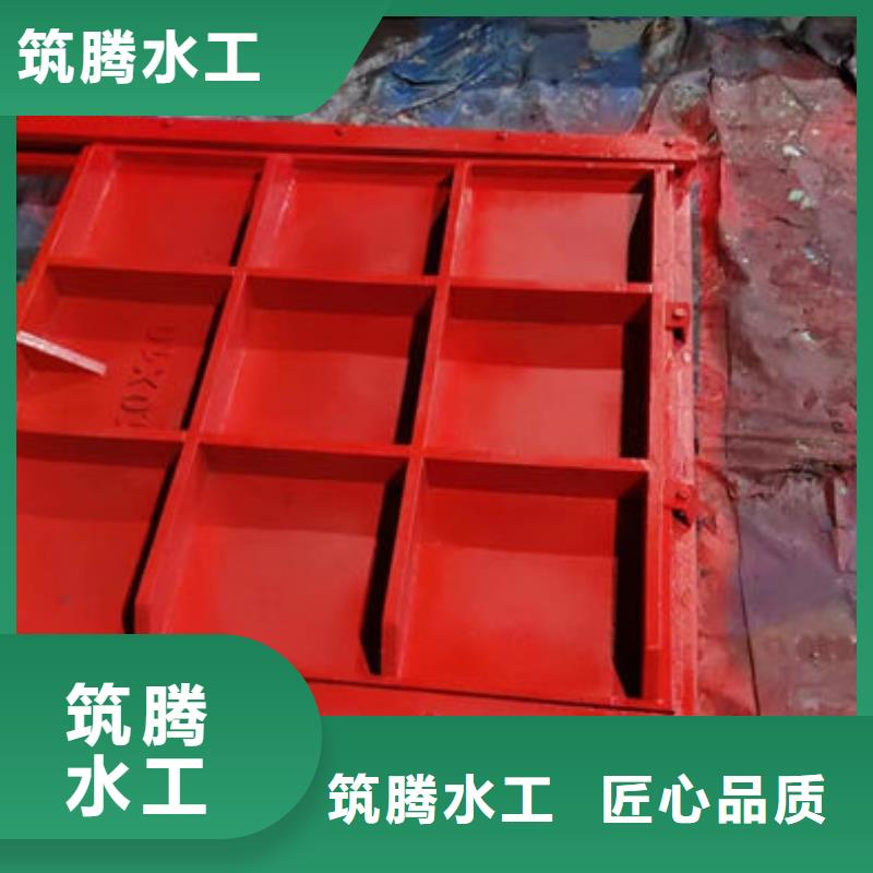 铸铁方闸门真诚合作