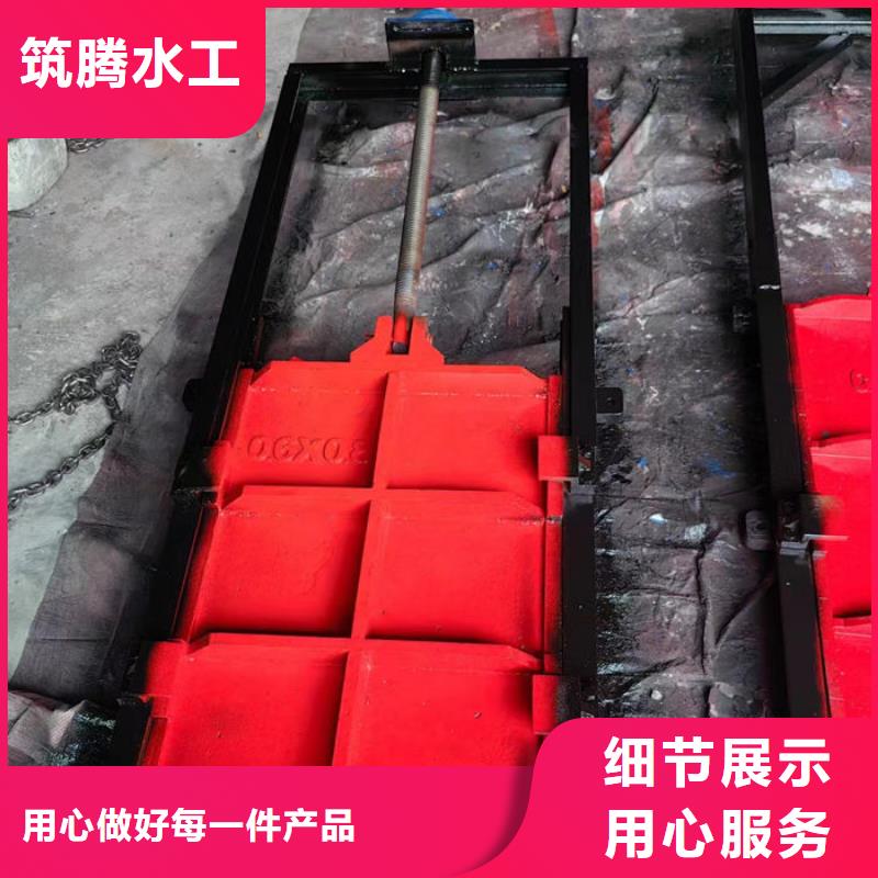弧形铸铁闸门工厂直供