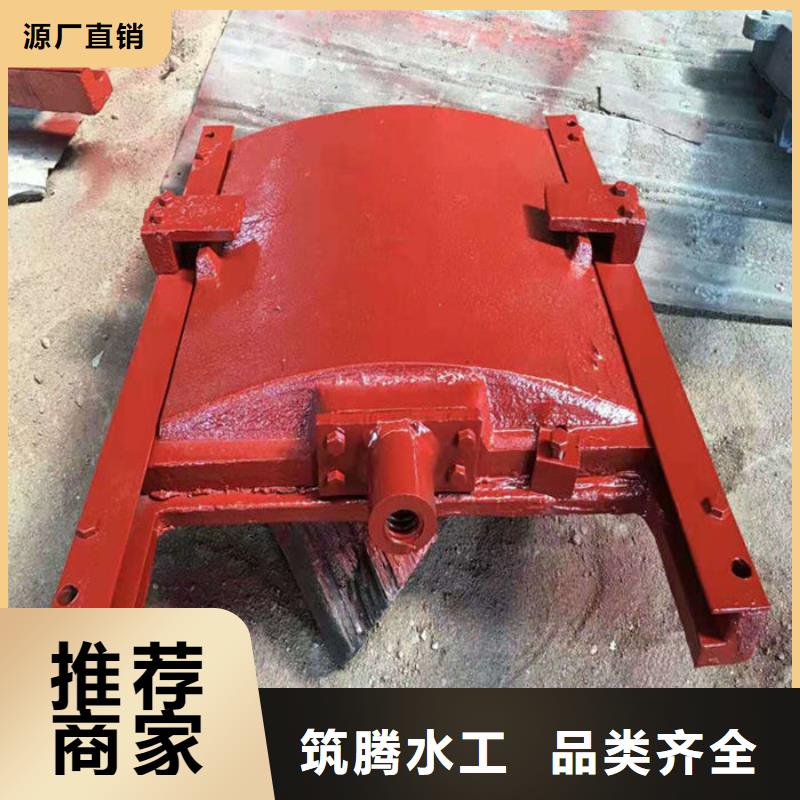 附壁式铸铁闸门源头厂家