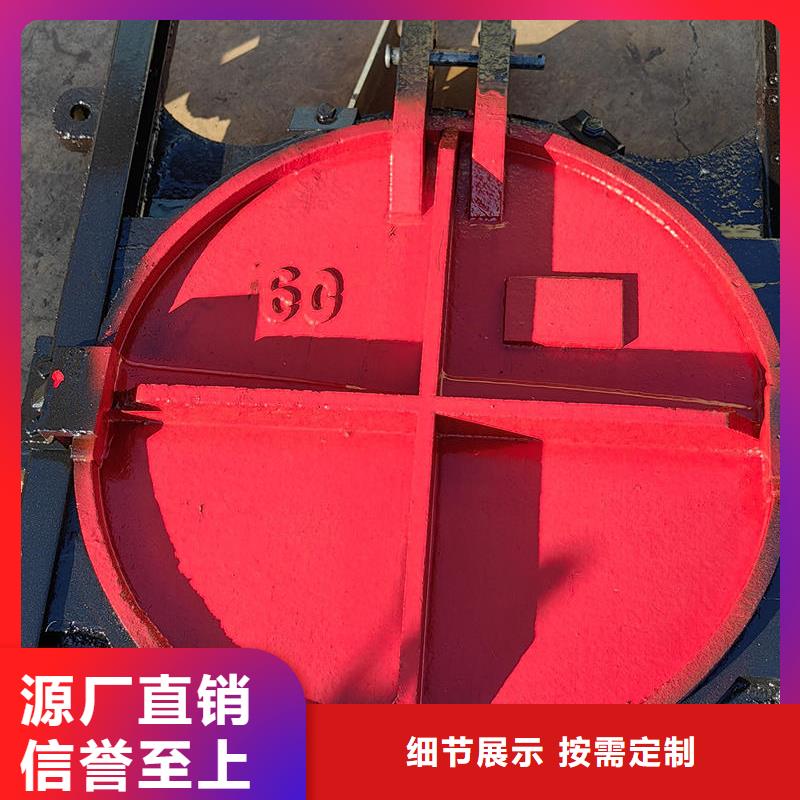 铸铁闸门铸铁镶铜闸门严选好货